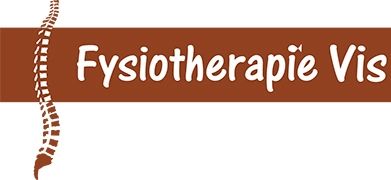 Fysiotherapie Vis